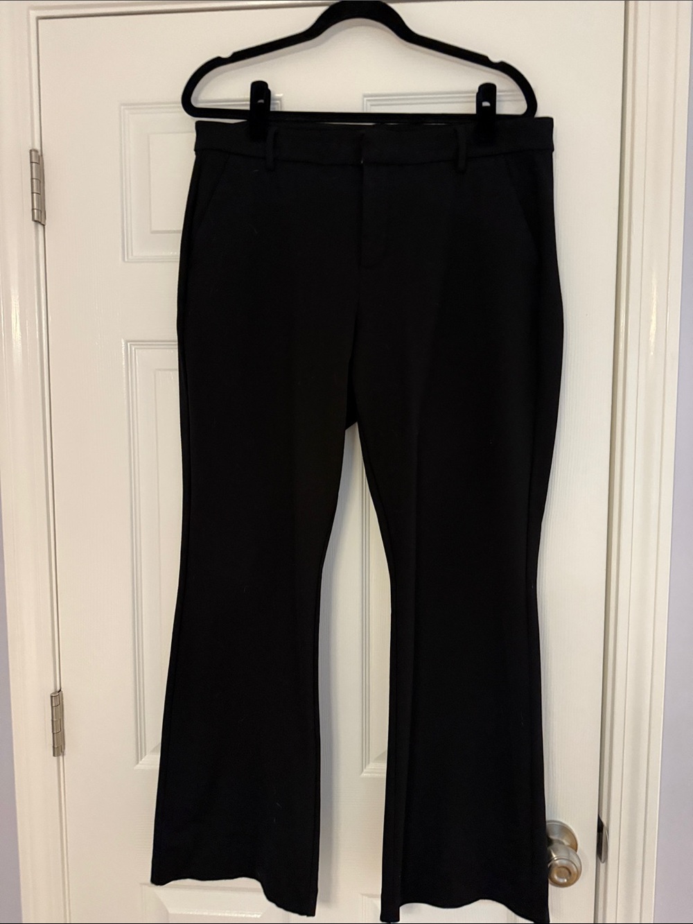 Liverpool Black Boot Cut Dress Pants